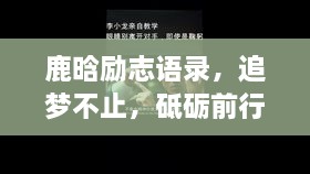 新闻动态 第93页