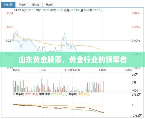 山东黄金股票，黄金行业的领军者