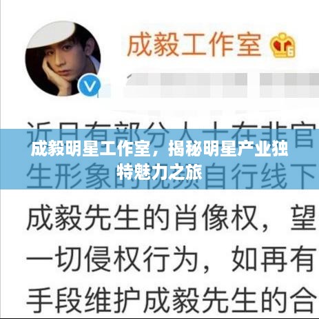 成毅明星工作室，揭秘明星产业独特魅力之旅