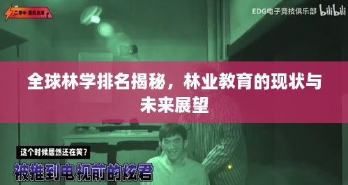 全球林学排名揭秘，林业教育的现状与未来展望