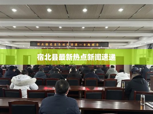 新闻动态 第80页