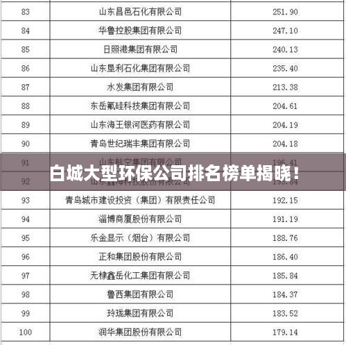 白城大型环保公司排名榜单揭晓！