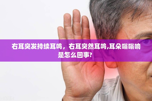 右耳突发持续耳鸣，右耳突然耳鸣,耳朵嗡嗡响是怎么回事? 