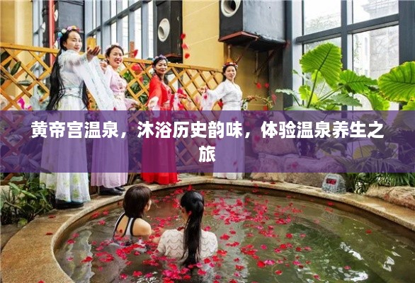 新闻动态 第69页