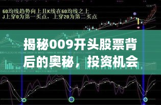 张弛不定