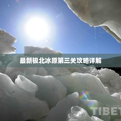 新闻动态 第64页