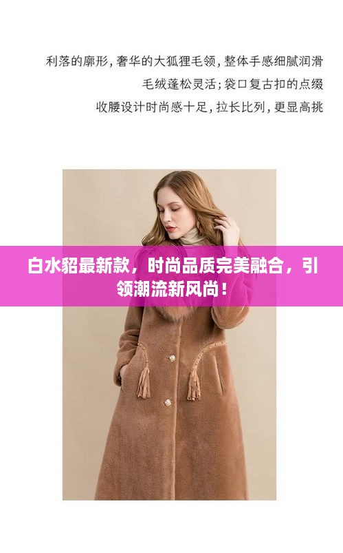 白水貂最新款，时尚品质完美融合，引领潮流新风尚！