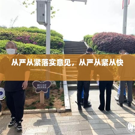 从严从紧落实意见，从严从紧从快 