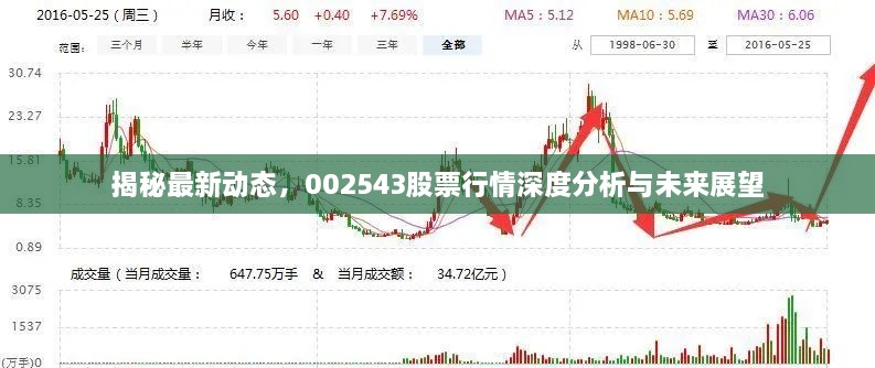 揭秘最新动态，002543股票行情深度分析与未来展望