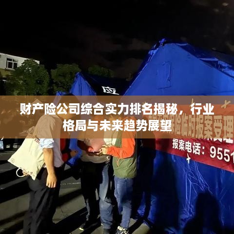 财产险公司综合实力排名揭秘，行业格局与未来趋势展望