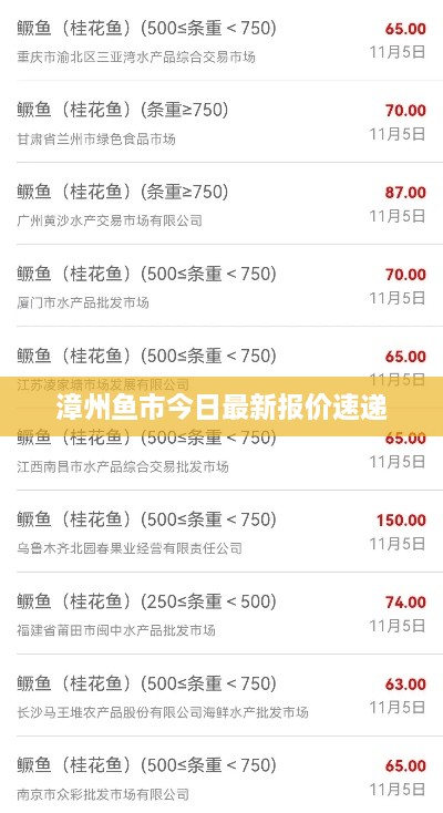 漳州鱼市今日最新报价速递