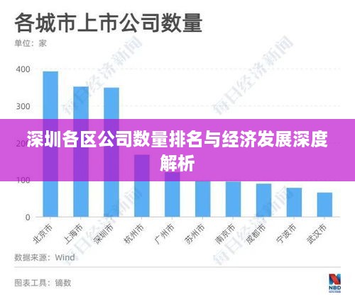 深圳各区公司数量排名与经济发展深度解析