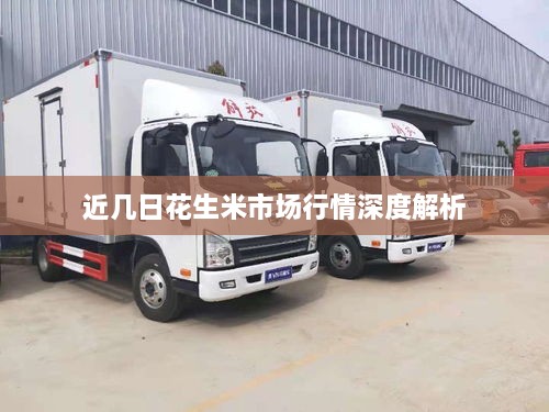 近几日花生米市场行情深度解析