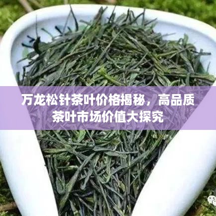 万龙松针茶叶价格揭秘，高品质茶叶市场价值大探究