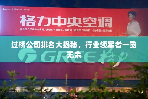 过桥公司排名大揭秘，行业领军者一览无余