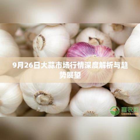 9月26日大蒜市场行情深度解析与趋势展望