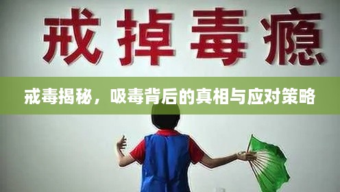 戒毒揭秘，吸毒背后的真相与应对策略