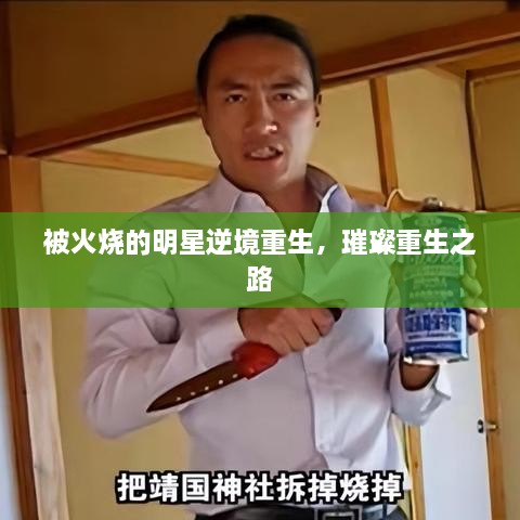 被火烧的明星逆境重生，璀璨重生之路