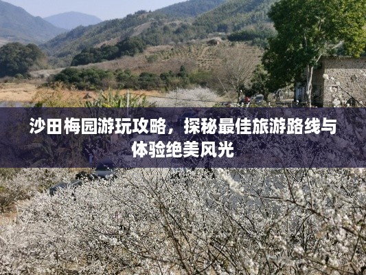 沙田梅园游玩攻略，探秘最佳旅游路线与体验绝美风光