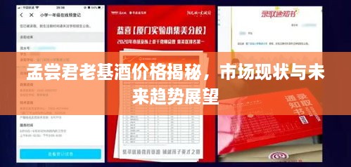孟尝君老基酒价格揭秘，市场现状与未来趋势展望