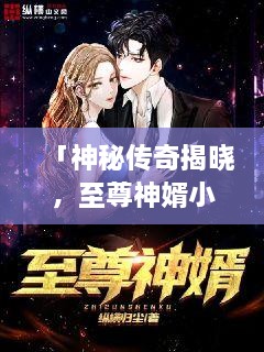「神秘传奇揭晓，至尊神婿小说全解析」