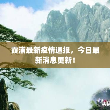 霞浦最新疫情通报，今日最新消息更新！