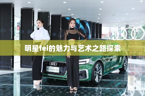 明星fei的魅力与艺术之路探索