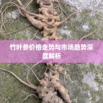 竹叶参价格走势与市场趋势深度解析