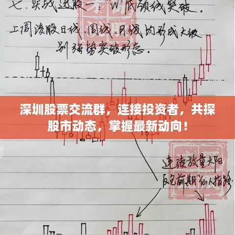 深圳股票交流群，连接投资者，共探股市动态，掌握最新动向！