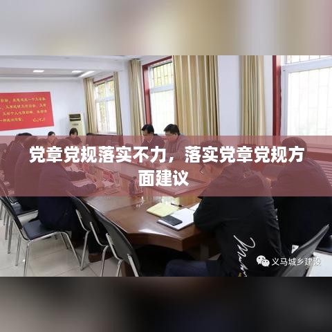 党章党规落实不力，落实党章党规方面建议 