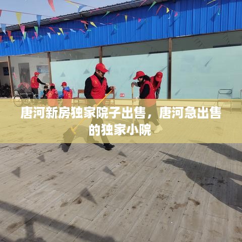 唐河新房独家院子出售，唐河急出售的独家小院 