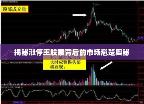揭秘涨停王股票背后的市场翘楚奥秘