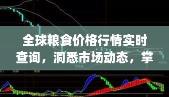 全球粮食价格行情实时查询，洞悉市场动态，掌握市场走势