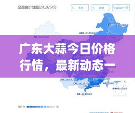 广东大蒜今日价格行情，最新动态一网打尽