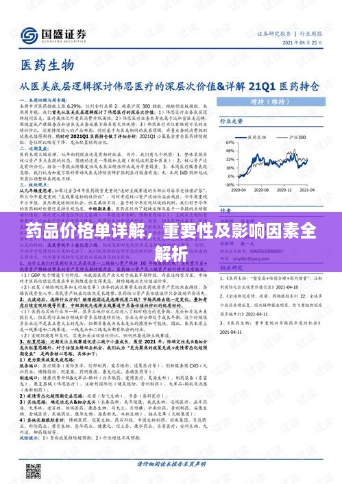 药品价格单详解，重要性及影响因素全解析