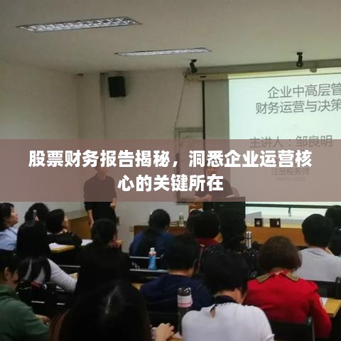 股票财务报告揭秘，洞悉企业运营核心的关键所在