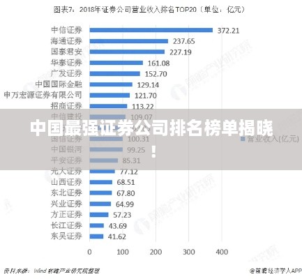 云龙井蛙