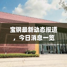 宝钢最新动态报道，今日消息一览