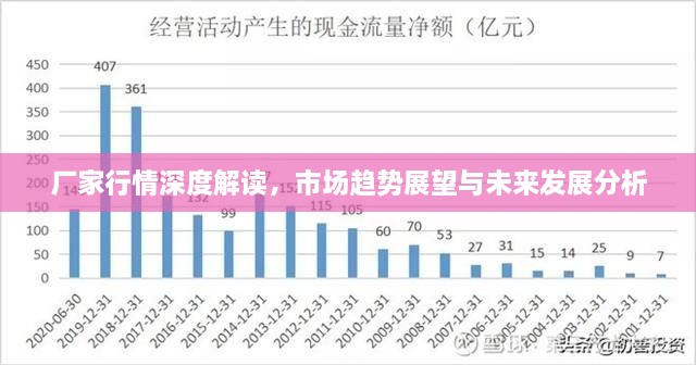 厂家行情深度解读，市场趋势展望与未来发展分析