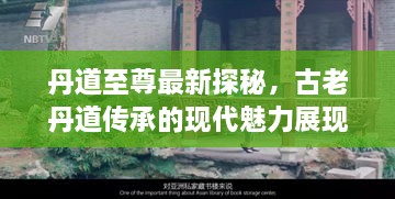 丹道至尊最新探秘，古老丹道传承的现代魅力展现