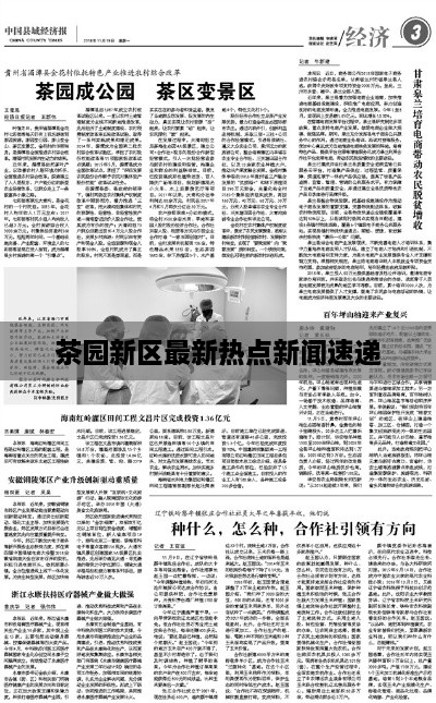 新闻动态 第31页