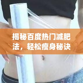 客户案例 第34页