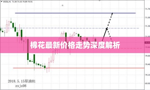 棉花最新价格走势深度解析