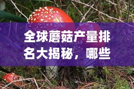 走进远奥 第30页
