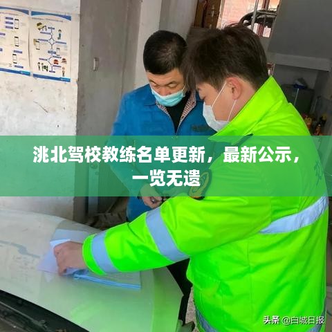 洮北驾校教练名单更新，最新公示，一览无遗