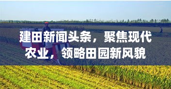 建田新闻头条，聚焦现代农业，领略田园新风貌