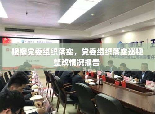 根据党委组织落实，党委组织落实巡视整改情况报告 