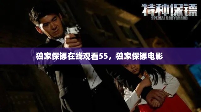 客户案例 第20页