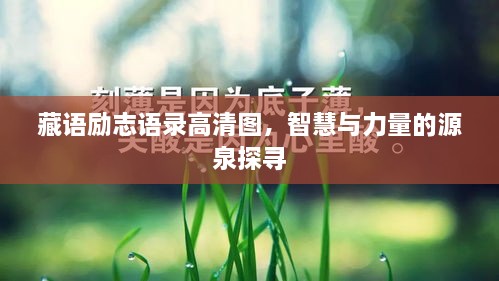 客户案例 第18页