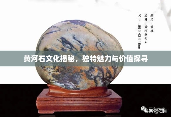 黄河石文化揭秘，独特魅力与价值探寻